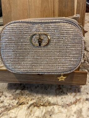 Dior holiday  cosmetic bag